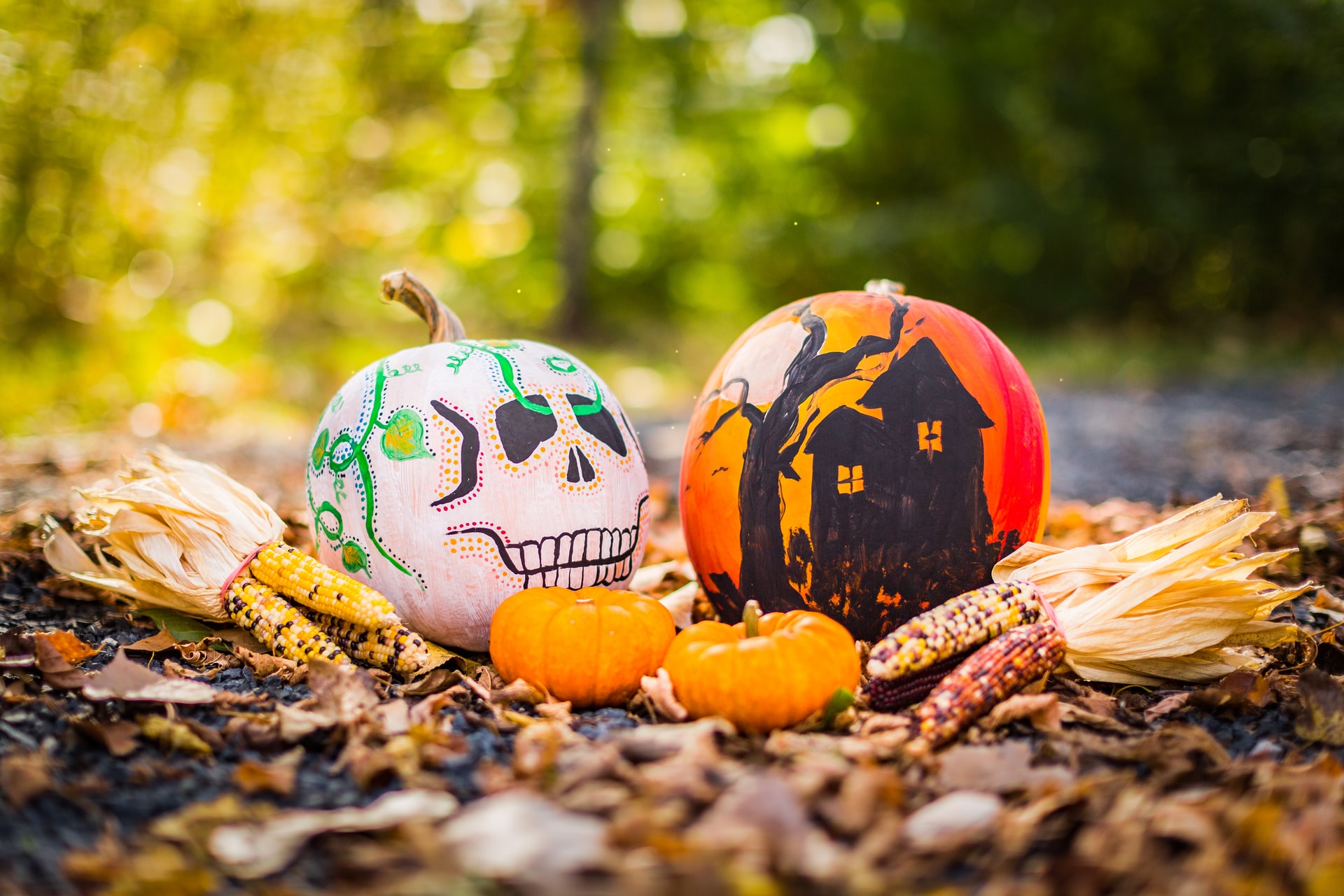 How To Decorate Garden For Halloween